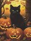 Halloween Diamond Art Kits for Adults, Cat Pumpkin 5D Diamond Painting Kits